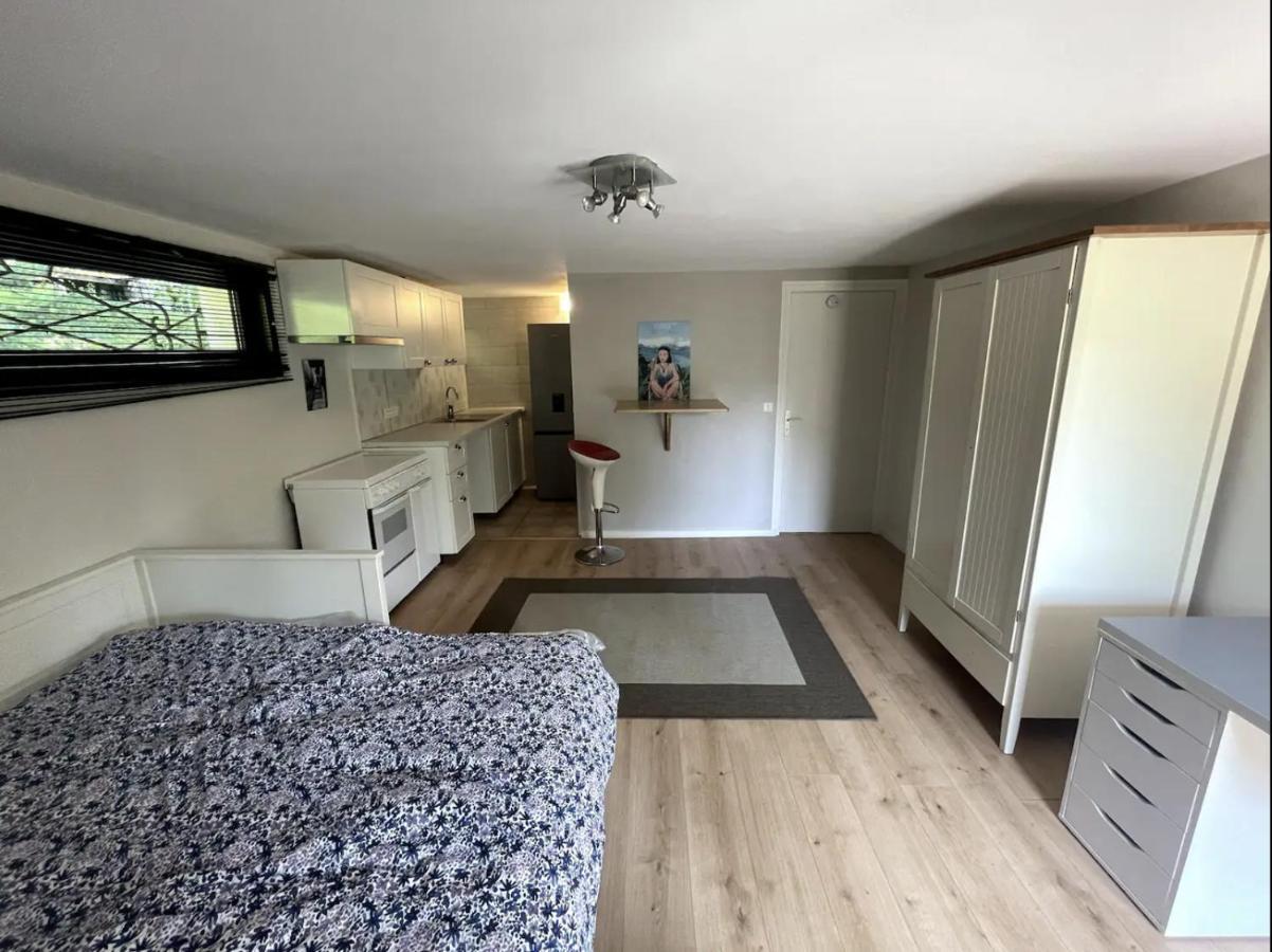 Quiet Studio In A House In Sevrier Annecy Lake Very Close To The Lake Buitenkant foto